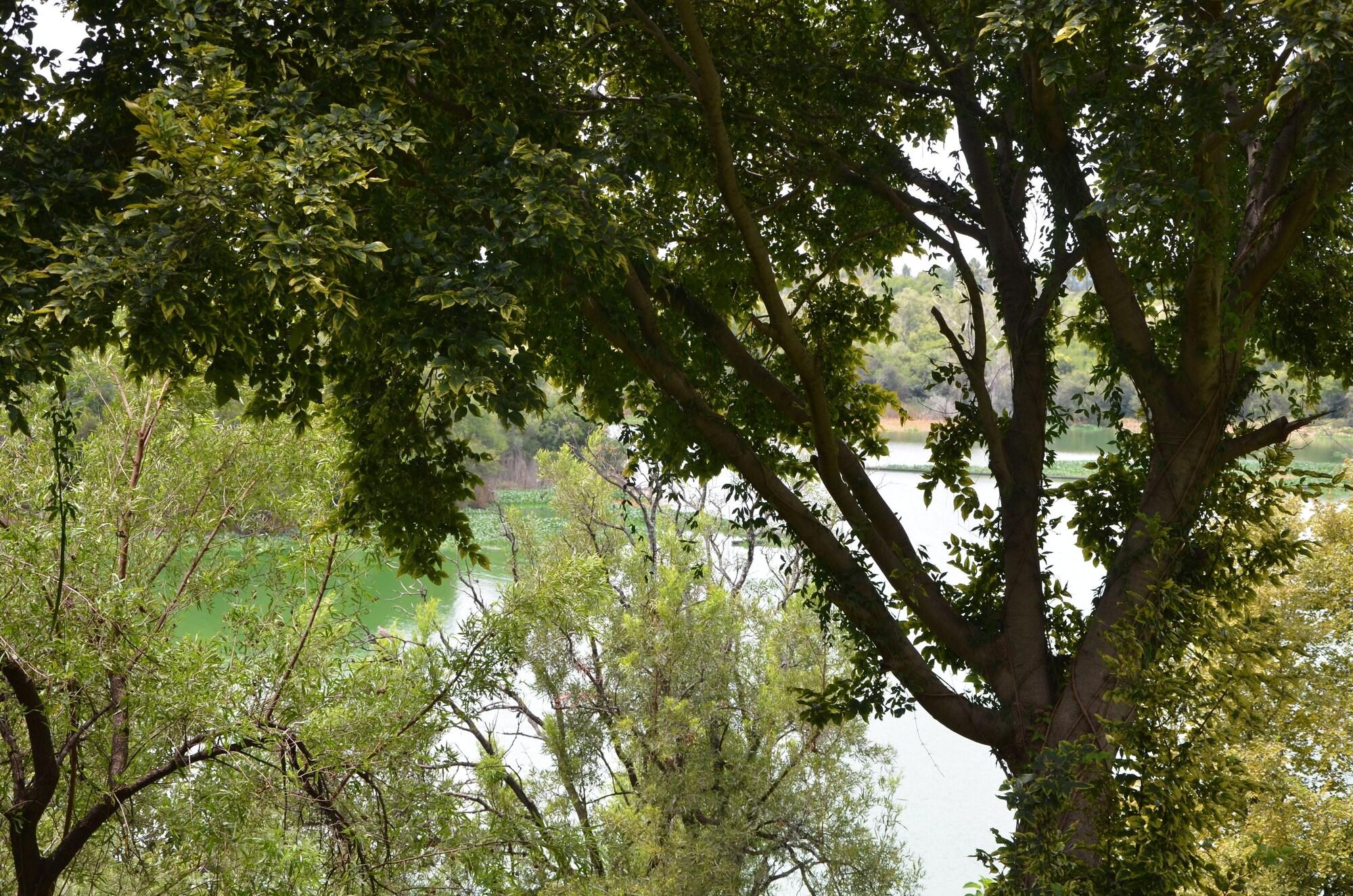 Premier Hotel Roodevalley Pretoria Bagian luar foto